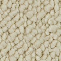 Rug Title